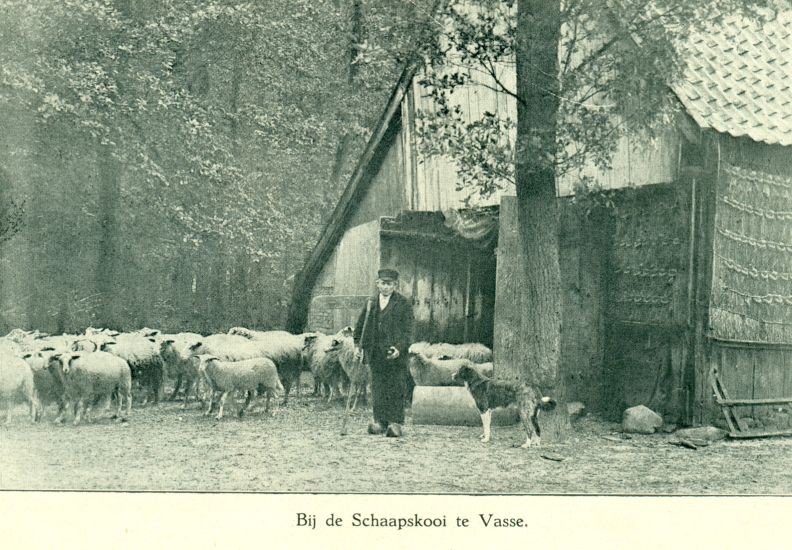 bernink schaapskooi vasse.jpg