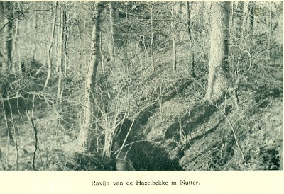 ravijn hazelbekke bernink.jpg