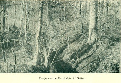 ravijn hazelbekke bernink.jpg